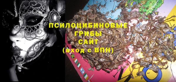дживик Сатка