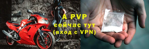 ешки Белокуриха