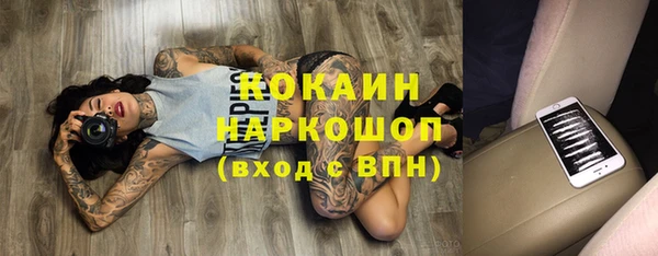 дживик Сатка