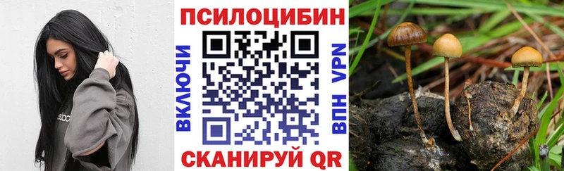 даркнет как зайти  kraken зеркало  Армавир  Псилоцибиновые грибы GOLDEN TEACHER 